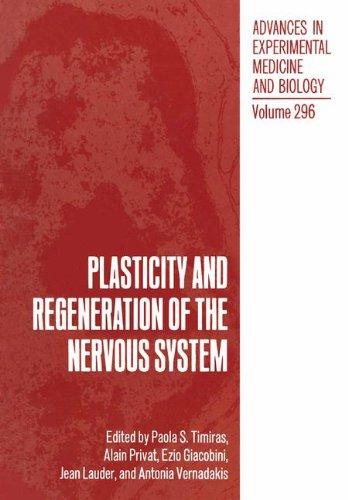 Book Plasticity And Regeneration Of The Nervous System (advances In Experimental Medicine & Biology) free