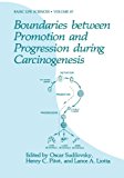 Book Boundaries between Promotion and Progression during Carcinogenesis (Basic Life Sciences) free