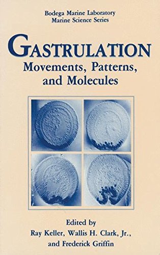 Book Gastrulation: Movements, Patterns, And Molecules free