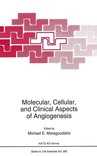 Book Molecular, Cellular, And Clinical Aspects Of Angiogenesis (nato Science Series A:) free