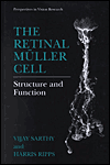 Book The Retinal Müller Cell: Structure and Function (Perspectives in Vision Research) free