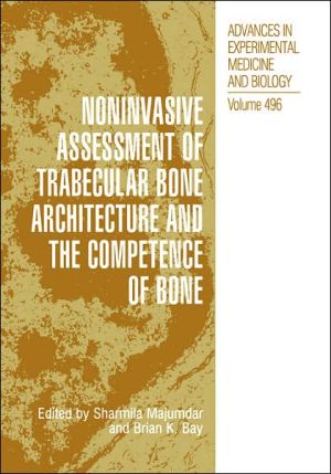 Book Noninvasive Assessment Of Trabecular Bone Architecture And The Competence Of Bone (advances In Experimental Medicine And Biology) free