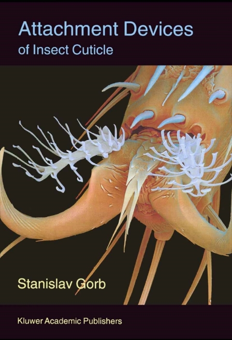 Book Attachment Devices of Insect Cuticle free