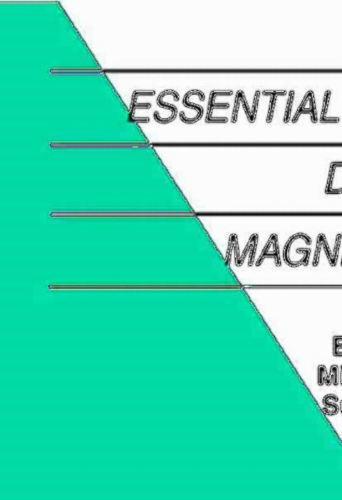 Book Essential Spaceflight Dynamics and Magnetospherics free