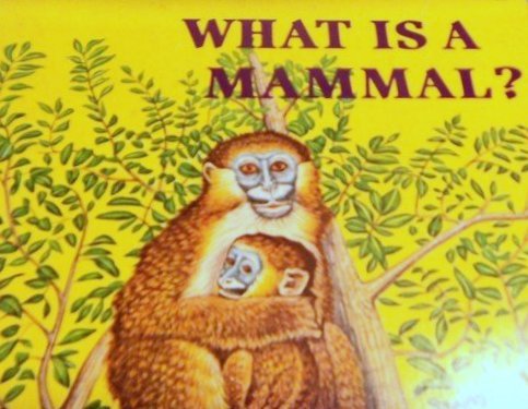 Book What is a Mammal? (A Child's Golden Science Book, 1975) free