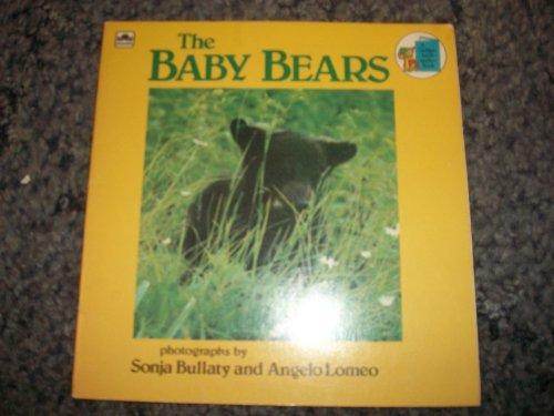 Book Baby Bears (Look-Look) free