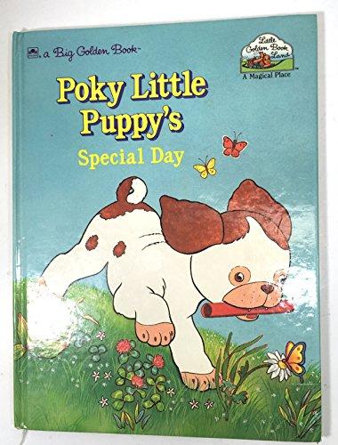 Book Poky Little Puppys Special Day (Big Golden Book) free