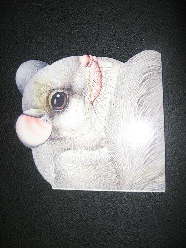 Book Squirrel - Nature Shapes (Nature Shape Book) free