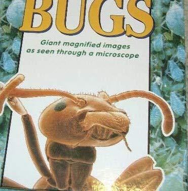 Book Insects & Bugs (Discover Hidden Worlds) free
