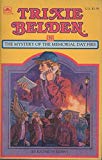 Book The Mystery of the Memorial Day Fire free