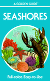 Book Seashores (Golden Field Guide from St. Martin's Press) free