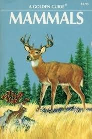 Book Guide to Mammals free