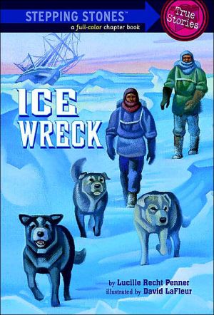 Book Ice Wreck (A Stepping Stone Book) free
