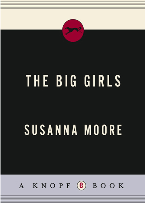 Book The Big Girls (Vintage Contemporaries) free