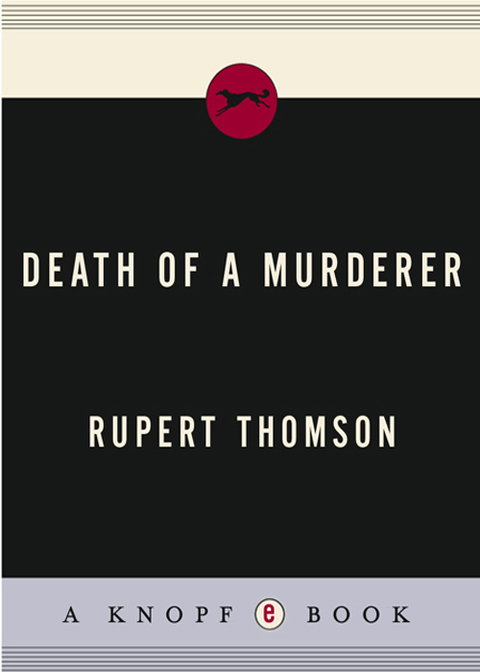 Book Death of a Murderer (Vintage International) free