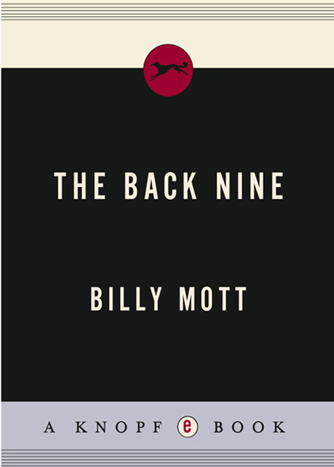 Book The Back Nine (Vintage Contemporaries) free