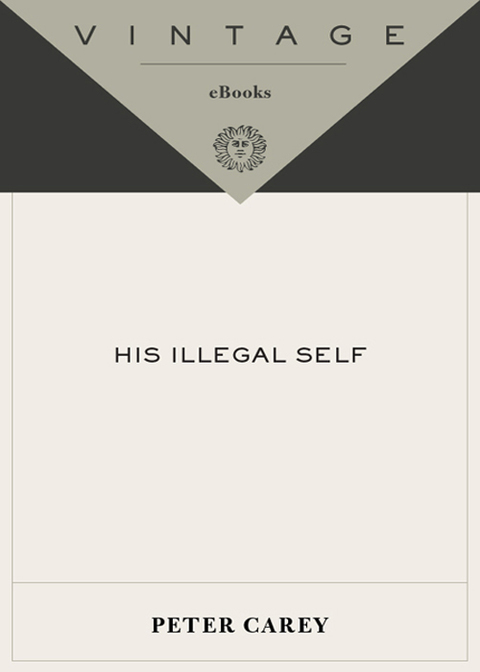 Book His Illegal Self free