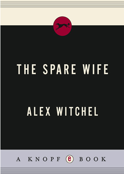 Book The Spare Wife free