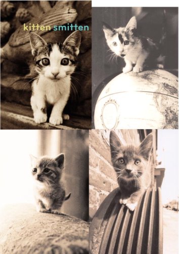 Book Kitten Smitten (potter Style) free