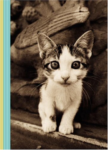 Book Kitten Smitten 5x7 Journal free