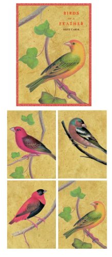 Book Birds Of A Feather Note Cards free