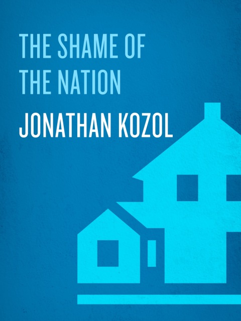 Book The Shame of the Nation free