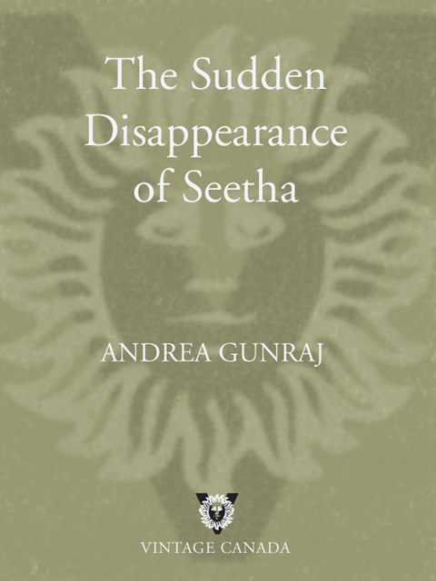 Book The Sudden Disappearance of Seetha free
