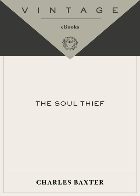 Book The Soul Thief: A Novel (Vintage Contemporaries) free