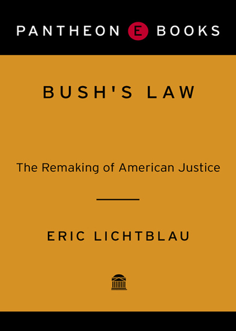 Book Bush's Law: The Remaking of American Justice free