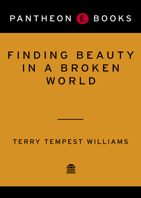 Book Finding Beauty in a Broken World free