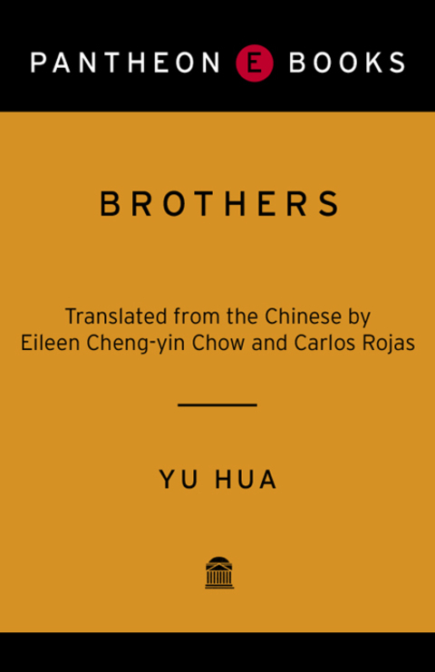 Book Brothers: A Novel free