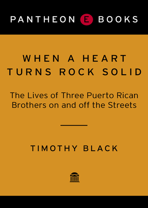 Book When a Heart Turns Rock Solid: t/c free