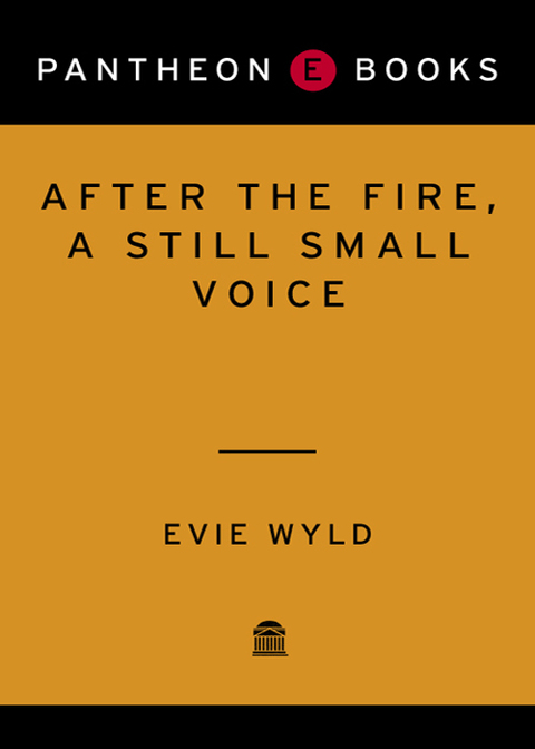 Book After the Fire, a Still Small Voice free