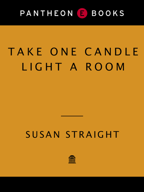 Book Take One Candle Light a Room: A Novel free