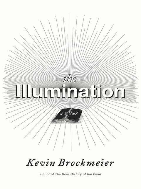 Book The Illumination: A Novel (Vintage Contemporaries) free