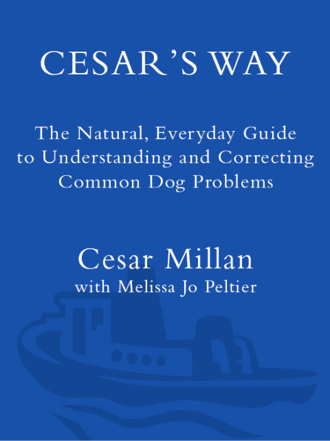 Book Cesar's Way: The Natural, Everyday Guide to Understanding and Correcting Common Dog Problems free