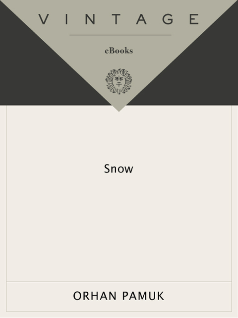 Book Snow (Vintage International) free