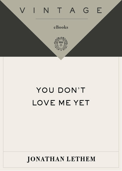 Book You Don't Love Me Yet (Vintage Contemporaries) free