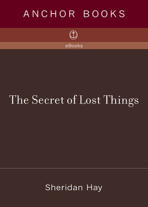 Book The Secret of Lost Things free
