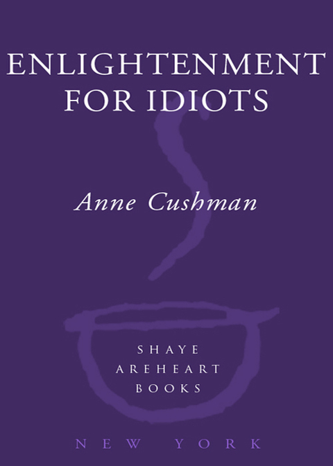 Book Enlightenment for Idiots: A Novel free