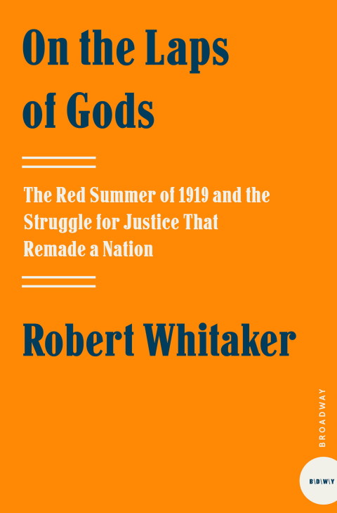 Book On the Laps of Gods: The Red Summer of 1919 and the Struggle for Justice That Remade a Nation free