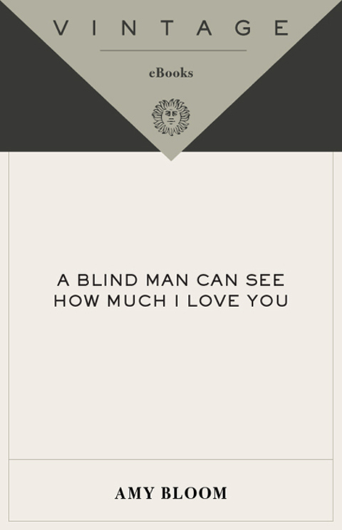 Book A Blind Man Can See How Much I Love You free