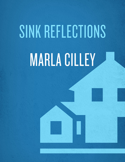 Book Sink Reflections: The FlyLady's Simple Flying Lessons Will Show You How to Get Your Home and Your Life in Order free