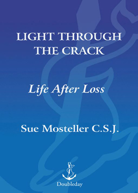Book Light Through the Crack free