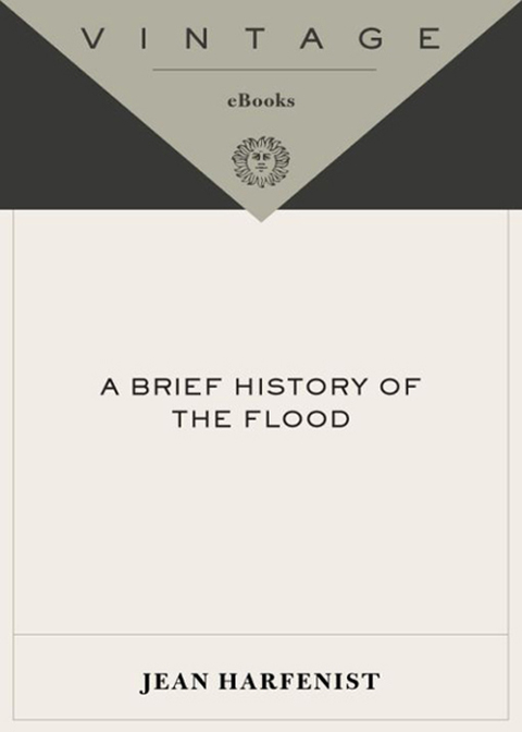 Book A Brief History of the Flood free