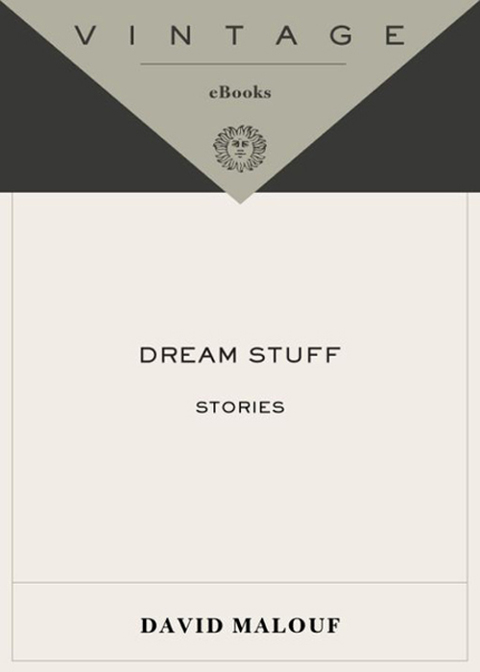 Book Dream Stuff: Stories (Vintage International) free