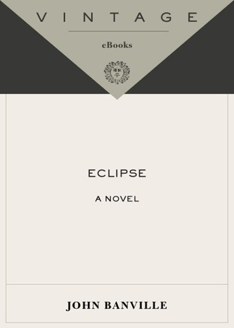 Book Eclipse: A Novel (Vintage International) free