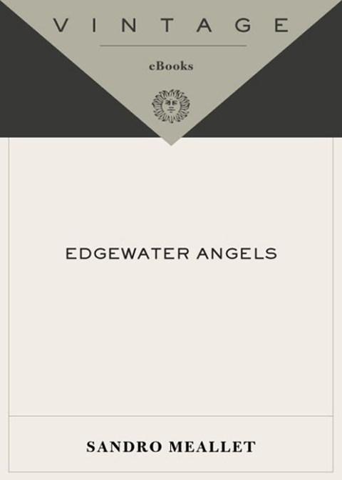 Book Edgewater Angels: A Novel (Vintage Contemporaries) free