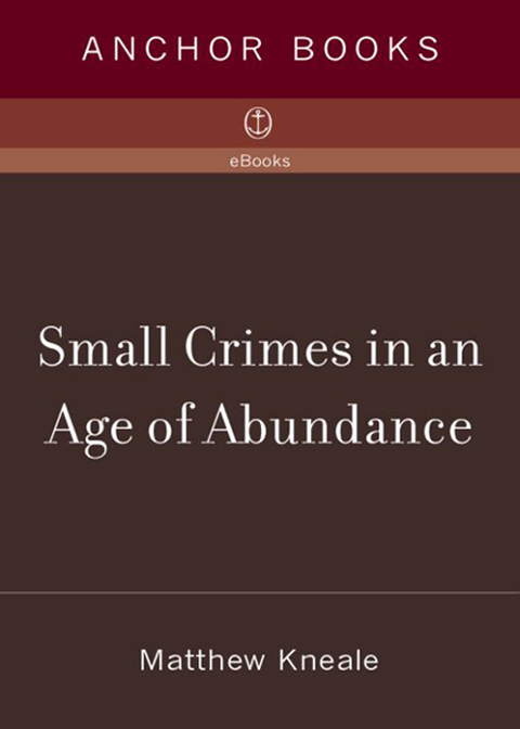 Book Small Crimes in an Age of Abundance free