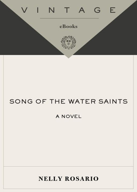 Book Song of the Water Saints: A Novel (Vintage Contemporaries) free